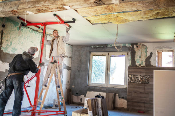 Best Insulation Contractors for Homes  in Butler, NJ