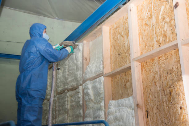 Best Home Insulation Services  in Butler, NJ